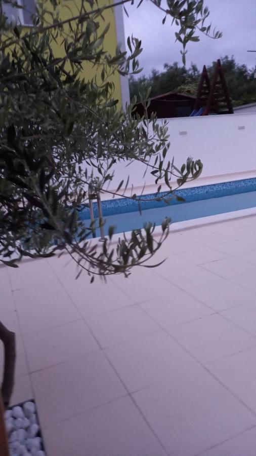 Apartman Miki Borik Zadar Exteriör bild
